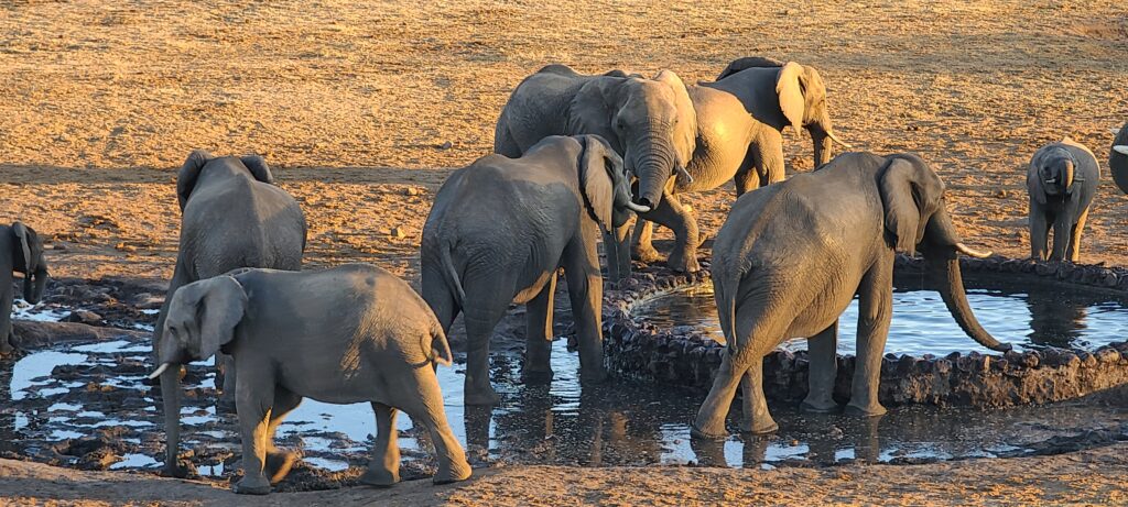 Hwange National Park