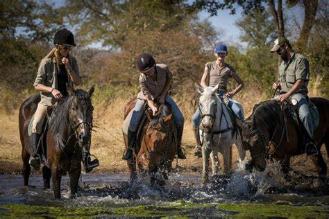 Horse Back Riding