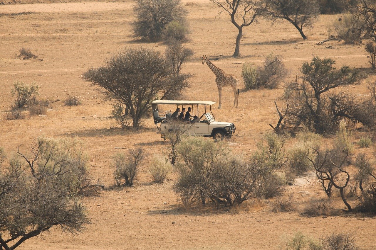 Game Drive