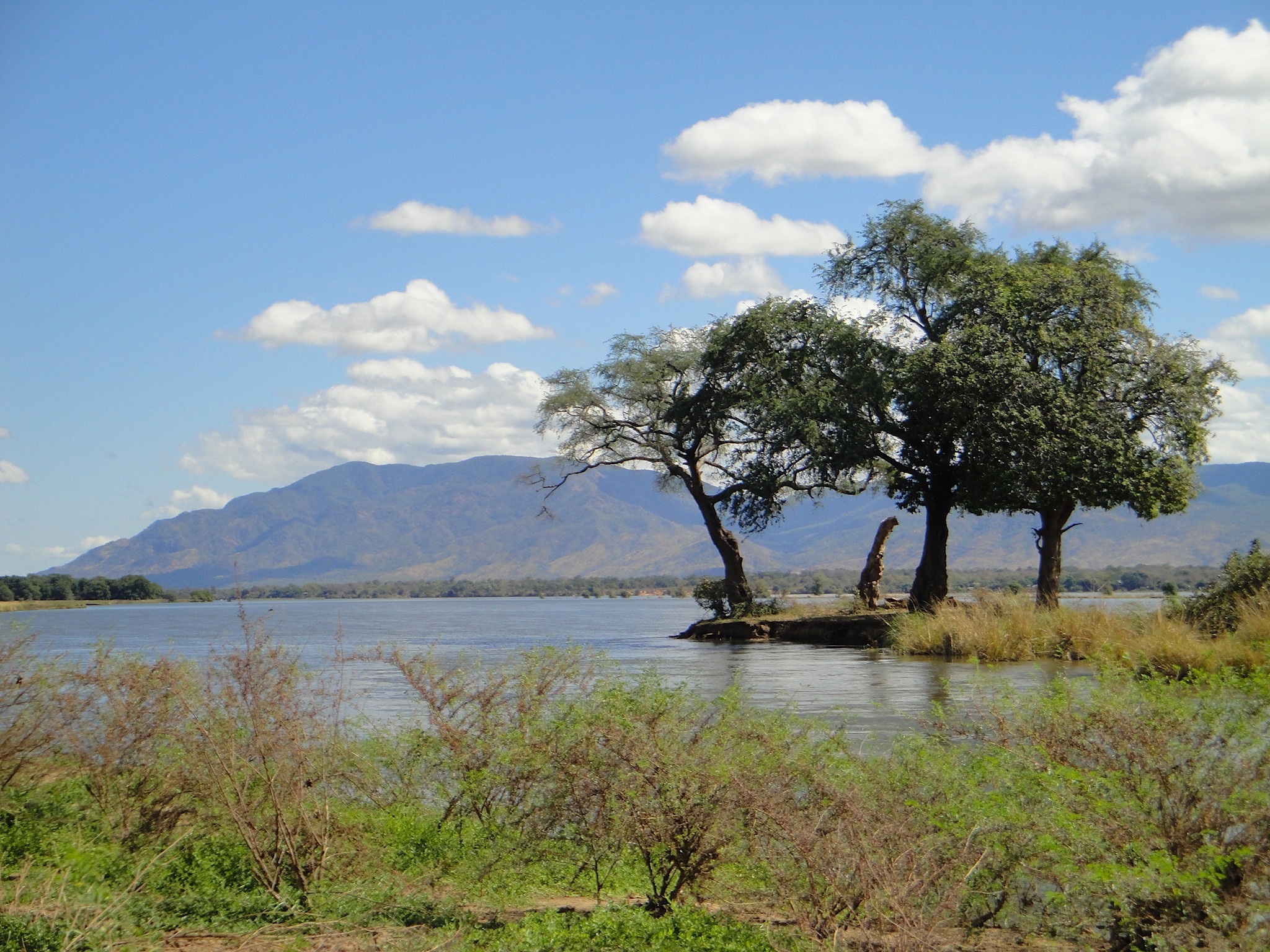 Zambia